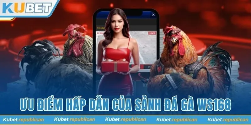 Ưu điểm hấp dẫn của sảnh đá gà WS168